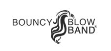 Photograph for Bouncy Blow Band, Other business in Stockport